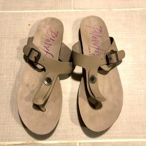 Grey blowfish danders